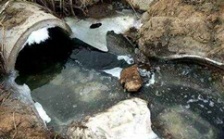  cod能反映水質污染情況嗎？