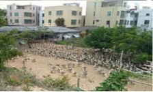  生態(tài)環(huán)境部：水源地專項(xiàng)督查第二批環(huán)境違法問(wèn)題45個(gè)