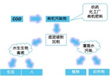  在線水質(zhì)監(jiān)測知識篇-化學需氧量COD