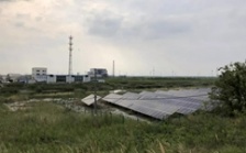  江蘇海安市違規(guī)撤銷沿海防護(hù)林和灘涂縣級(jí)自然保護(hù)區(qū)實(shí)施開發(fā)建設(shè)