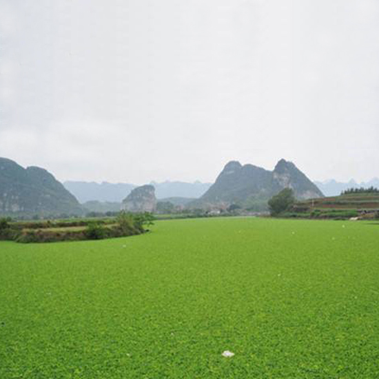  氣溫下降，我的氨氮超標(biāo)怎么辦