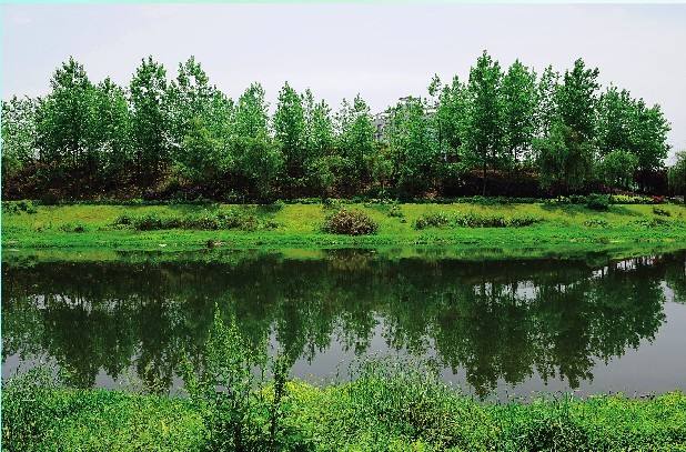  小微型水質監(jiān)測站如何選用水質自動采樣器？