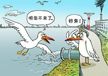  國家飲用水標(biāo)準(zhǔn)及水質(zhì)合格率是多少？