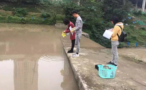 一圖一故事丨&ldquo;冷酷又火熱&rdquo;的雙面伊人