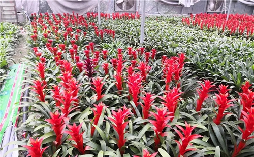 水源地治理出重拳，濟(jì)南南部山區(qū)回歸綠水青山