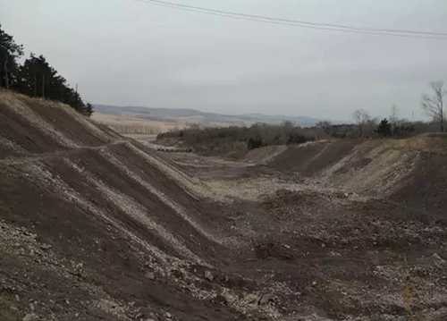 吉林省四平市二龍山水庫水源保護區(qū)3.7萬株生態(tài)涵養(yǎng)林被砍伐